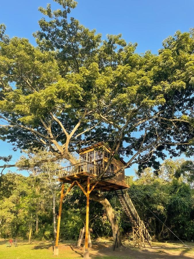 Villa Casa En El Arbol à Utica Extérieur photo