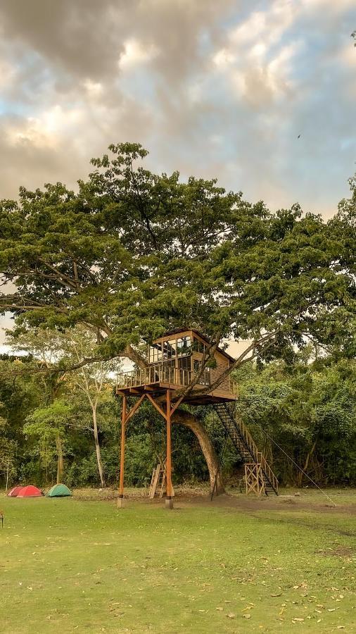 Villa Casa En El Arbol à Utica Extérieur photo